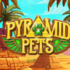 Pyramid Pets