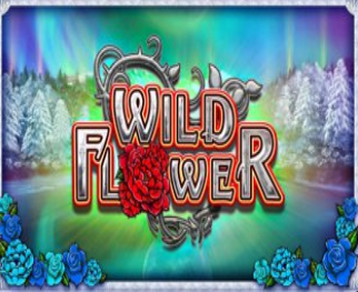 Wild Flower
