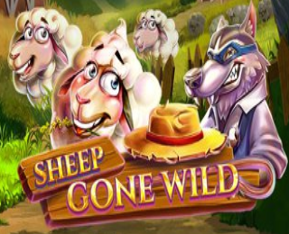 Sheep Gone Wild