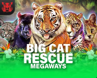 Big Cat Rescue Megaways
