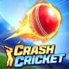 Crash Cricket