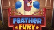 Feather Fury