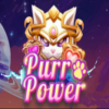 Purr Power