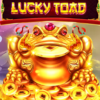 Lucky Toad