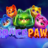 Space Paws