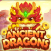 Ancient Dragons