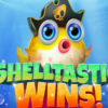 Shelltastic Wins