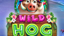 Wild Hog Luau
