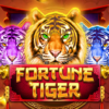 Fortune Tiger