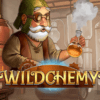 Wildchemy