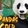 Panda’s Gold