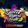 Link Me Sweet Tropical Fruits