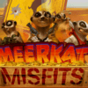 Meerkat Misfits