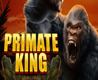 Primate King
