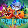 Fish Catch