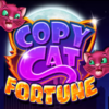 Copy Cat Fortune