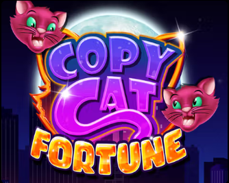 Copy Cat Fortune