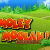 Moley Moolah