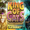 King of Cats