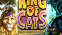 King of Cats