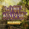 White Rabbit