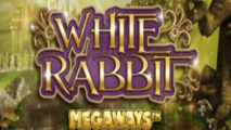 White Rabbit