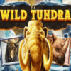 Wild Tundra