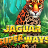 Jaguar Super Ways