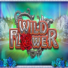 Wild Flower