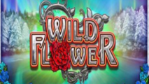 Wild Flower