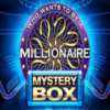 Millionaire Mystery Box