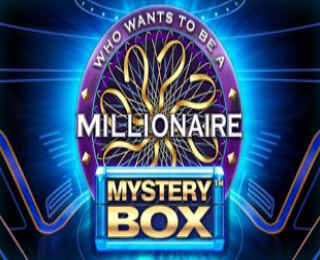 Millionaire Mystery Box