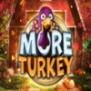 More Turkey