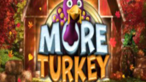 More Turkey