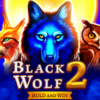 Black Wolf 2