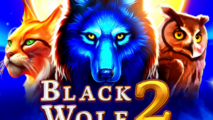 Black Wolf 2