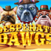 Desperate Dawgs