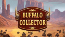 Buffalo Collector