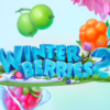 Winterberries 2