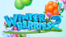 Winterberries 2