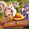 Sheep Gone Wild