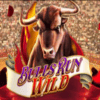 Bulls Run Wild