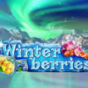 Winterberries