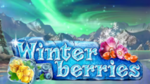 Winterberries