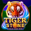 Tiger Stone