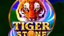 Tiger Stone