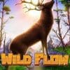 Wild Flow