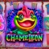 Chameleon