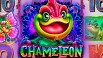 Chameleon
