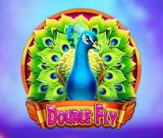 Double Fly